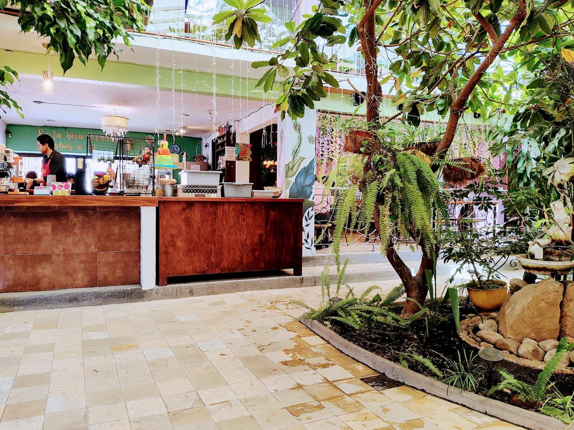 Hotel Jardines Del Centro San Cristóbal de Las Casas Екстериор снимка